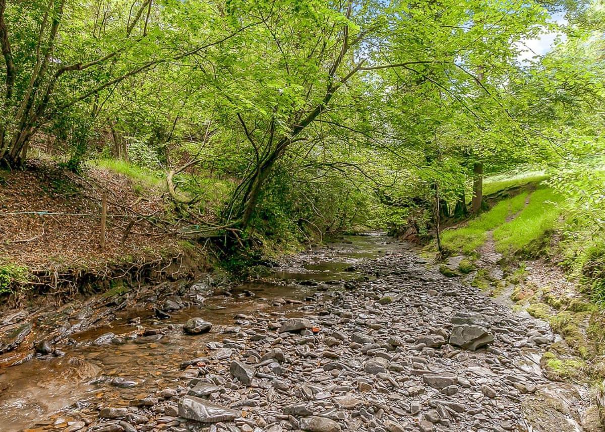 Nant-Y-Coed Lodges Mochdre  Exterior photo